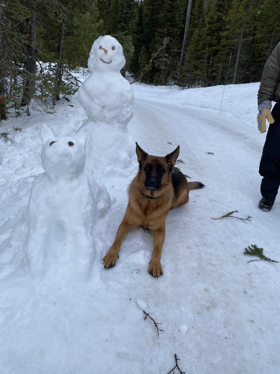 Jocko Willink tweet media