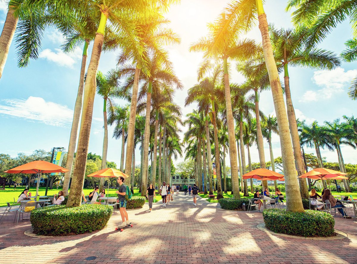 Winter in Miami 😍