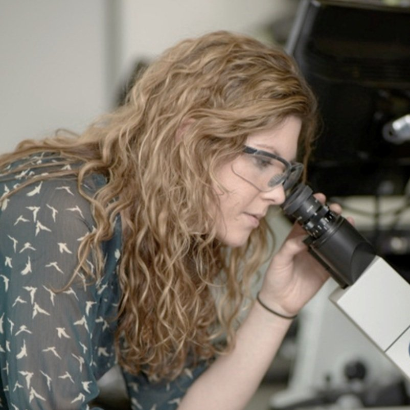 Mammary Cell News tweet media