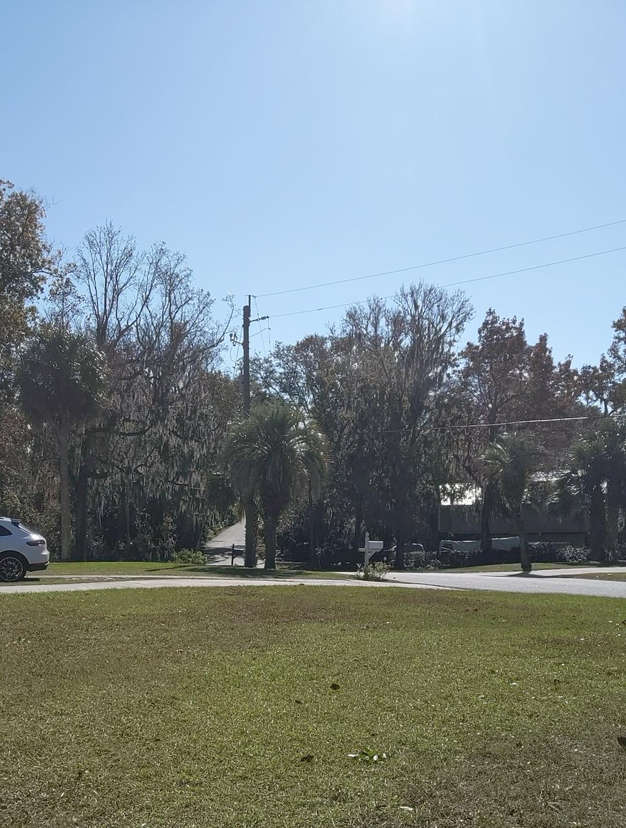 Berzerker_31 tweet media