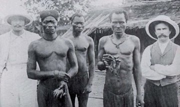 FotosDeFatos's tweet photo. Congoleses seguram as mãos decepadas de seus colegas que não conseguiram completar a cota diária de corte de árvores.  A exploração do Congo pela Bélgica foi uma das maiores atrocidades da história.

Mutilações, execuções sumárias, estupros e outros castigos eram aplicados aos congoleses que não acatassem as ordens dos fiscais Belgas.

Essa história inspirou um dos clássicos da literatura, “Heart of darkness”, Joseph Conrad, onde o protagonista Kurtz pronuncia a célebre sentença:
“The horror! The horror! The horror!”, usada por Francis Ford Coppola em “Apocalipse Now”.

Compre o livro: https://t.co/kGdoFGiaCA📚