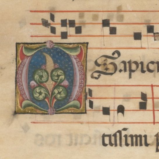 DactF's tweet image. this #fragmentfriday falls in the O antiphons! hard to pick a favourite...