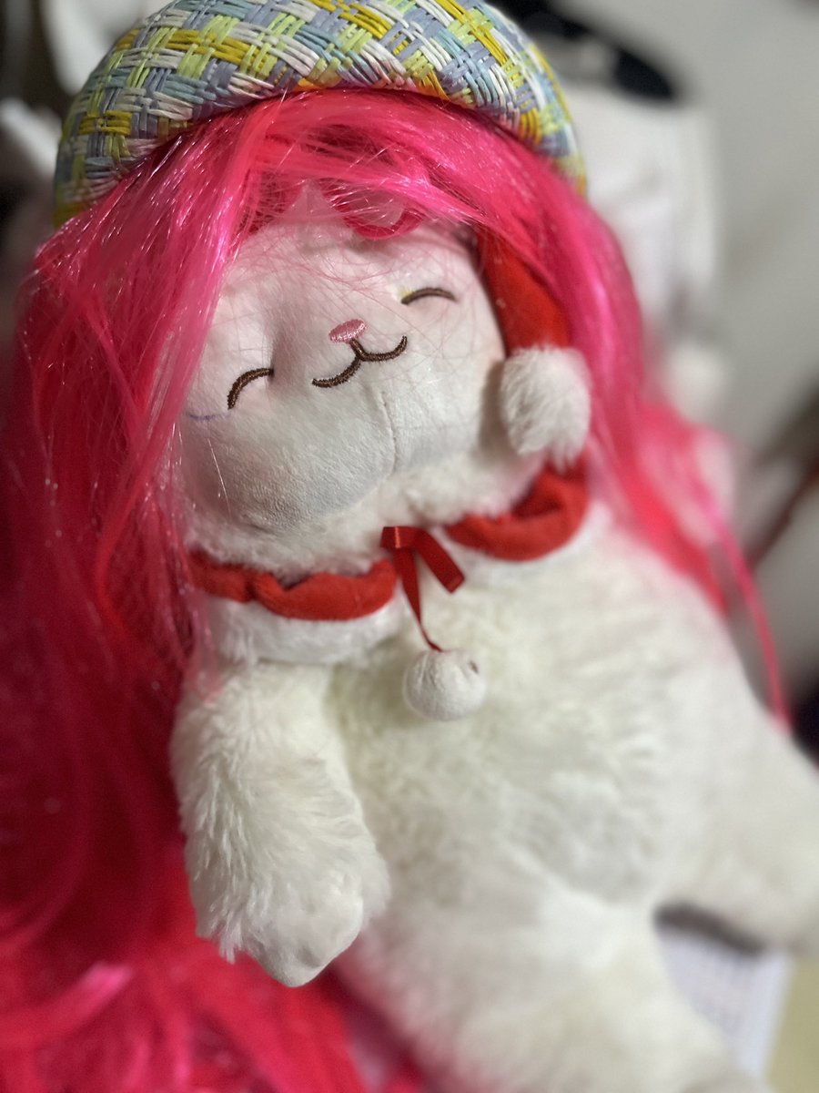 malyn1024's tweet image. Cuties for today ✨