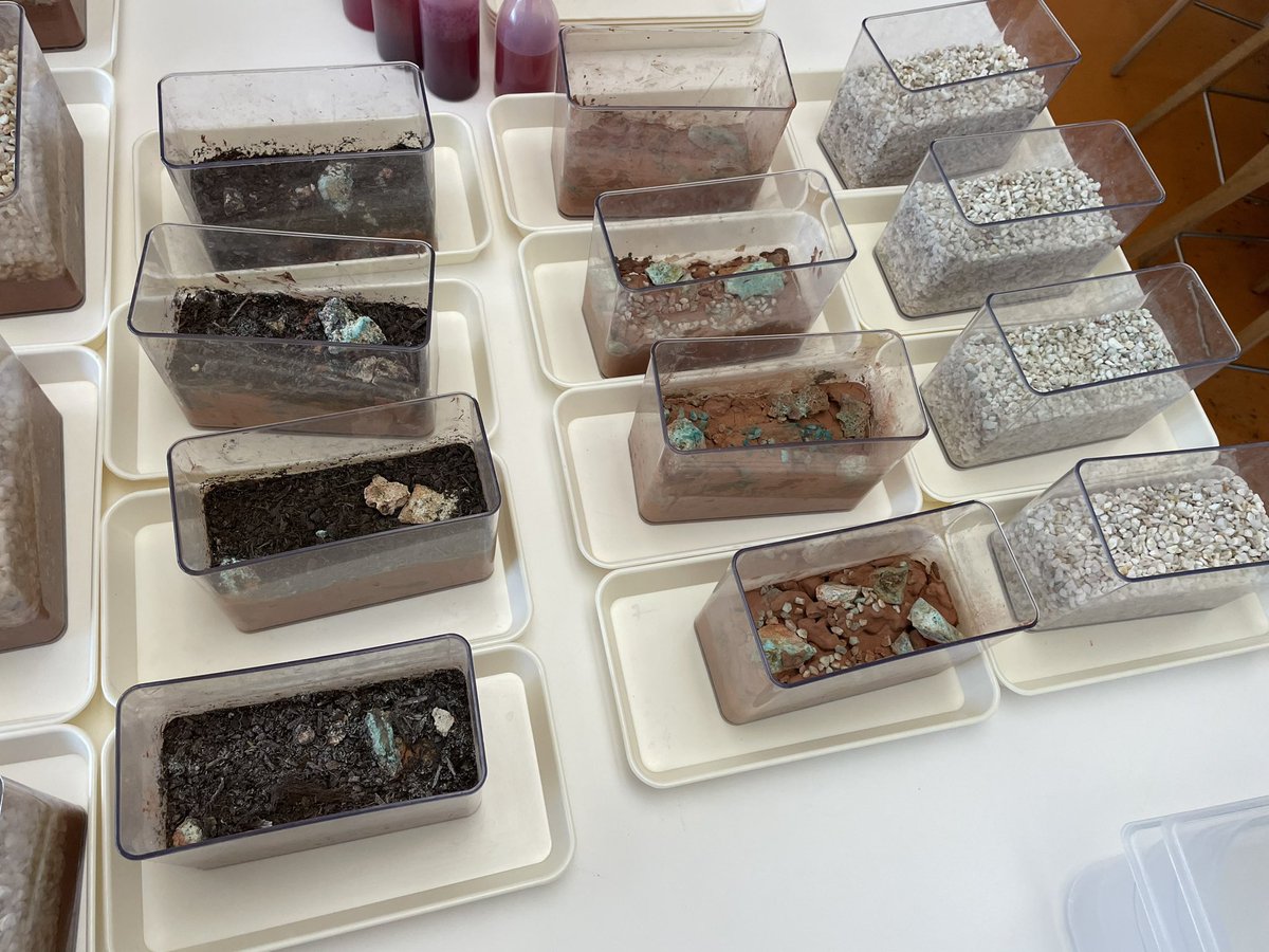 MISS_sciences tweet media