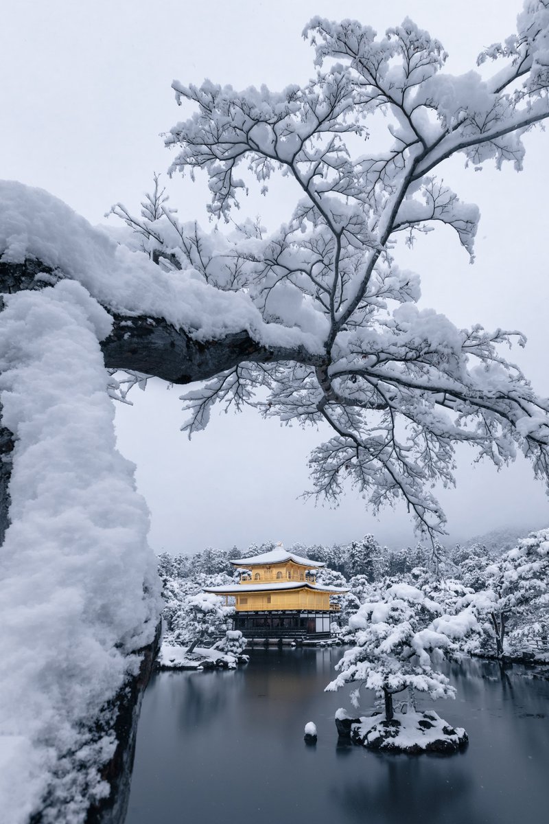 Kinkaku-ji under the snow

[📸 Ryogo_Urata]
[📍 Kyoto, Japan]