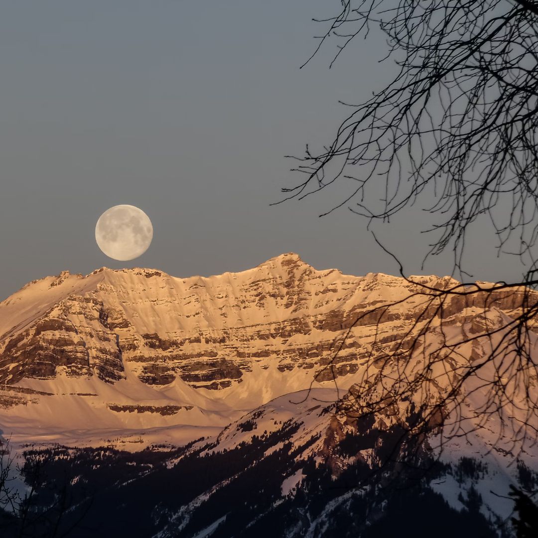 uuclvpa's tweet photo. Find some inspiration in today's #InspirationalImage.
#uu #unitarianuniversalist #unitarianuniversalism #uuclvpa #uuinspiration #inspiration https://t.co/mbNEzwMaVE