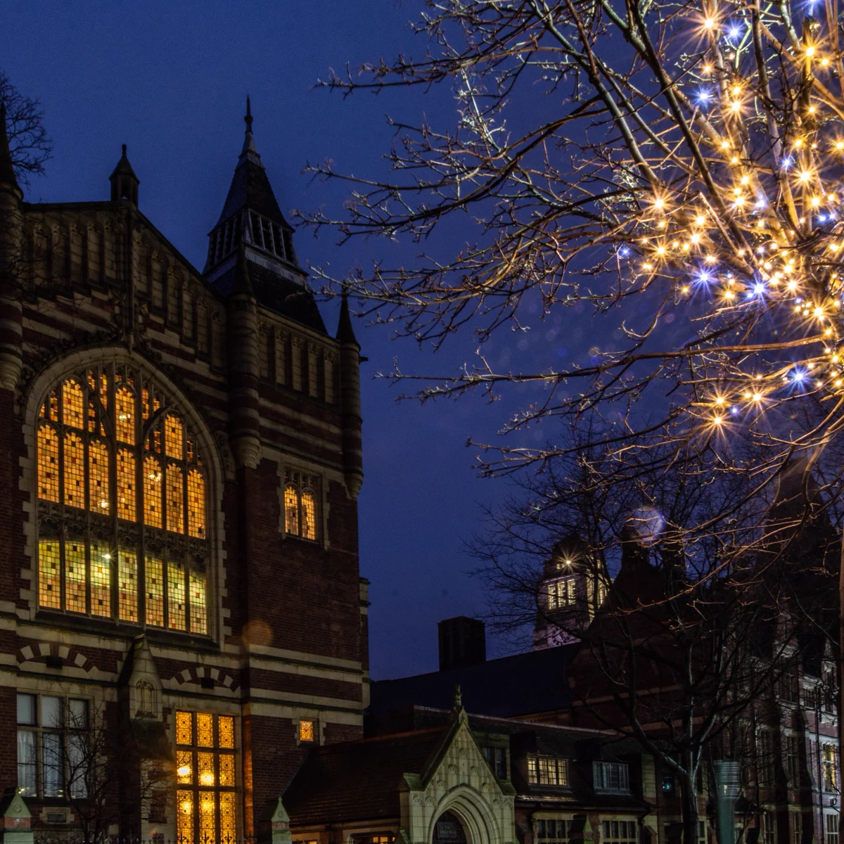Evening view of an illuminated the Great Hall building with warm interior lights, set against a dusk sky. Tree branches adorned with twinkling lights in the foreground.
