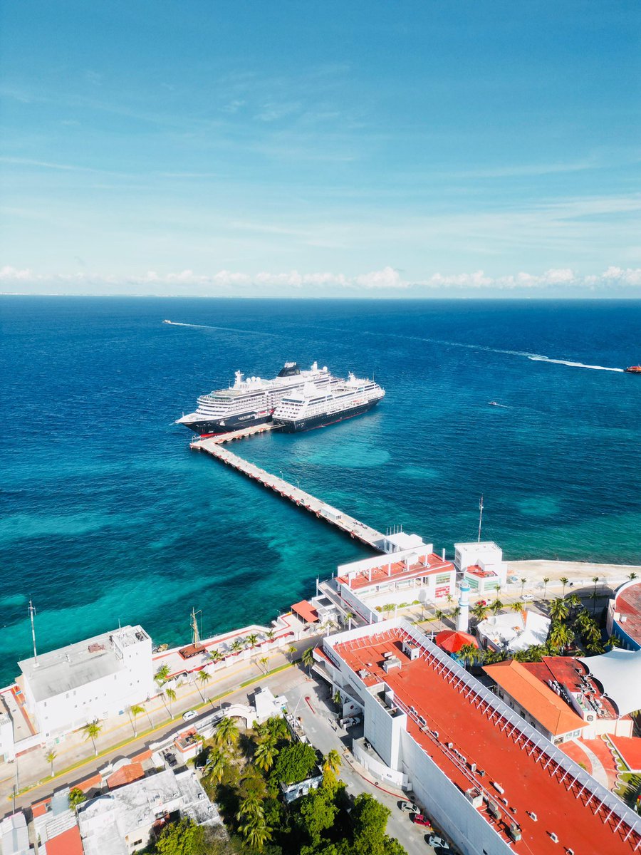 Mara Lezama tweet media