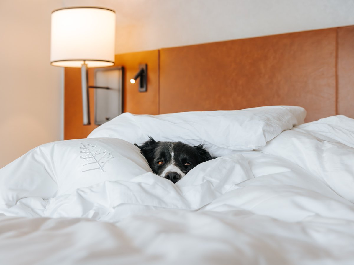 Four Seasons Seattle (@fsseattle) on Twitter photo *slams laptop shut* for holiday break 🐾 Before the year ends, embark on one final escape to our waterfront retreat with your furry companions. Book now: bit.ly/4gHzKoS
📷 Andrew Knapp *slams laptop shut* for holiday break 🐾 Before the year ends, embark on one final escape to our waterfront retreat with your furry companions. Book now: bit.ly/4gHzKoS
📷 Andrew Knapp