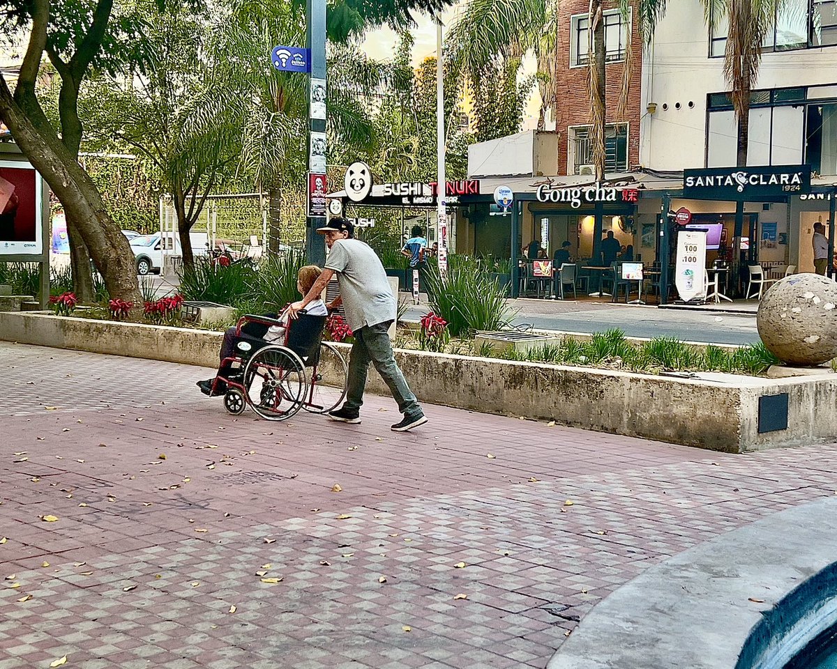 stevewright64's tweet image. Disability visibility — the wide, park like &amp;amp; often craft market lined accessible median of Avenida Chapultepec. Curb ramps are plentiful in Colonia Americana and the leafy neighborhoods headed toward Glorieta Minerva in Guadalajara. #DisabilityVisibility #guadalajara #mexico