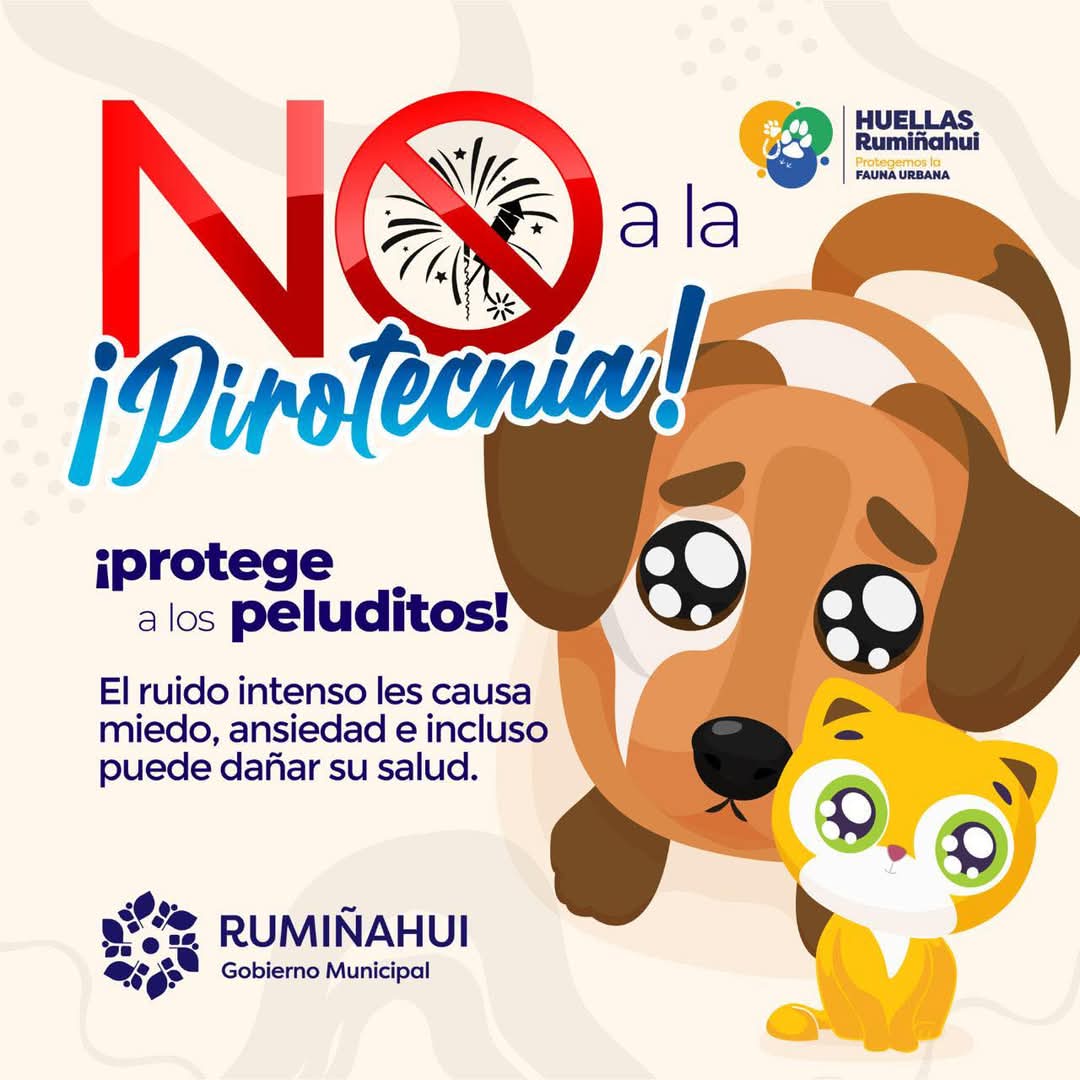 Fabian_Iza_M's tweet photo. 🔥 ¡Celebra con responsabilidad, sin pirotecnia! 🎄

🐾 La pirotecnia altera el bienestar de mascotas, personas sensibles al ruido y nuestro entorno natural.

🌱 Existen formas seguras y amigables de celebrar.

🙌  Optemos por la empatía y el cuidado del ambiente. https://t.co/tgVv2B807q