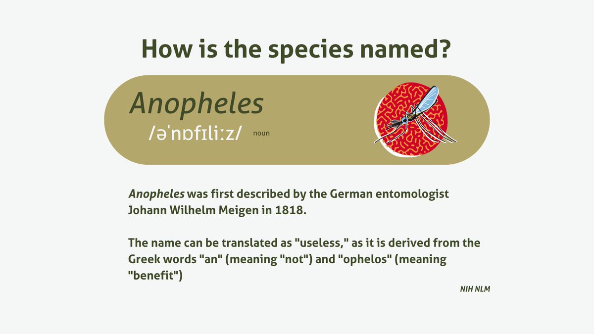 Did you know how the Anopheles species was named?

Find out below! #DYK #EndMalaria #Malaria #ZeroMalaria