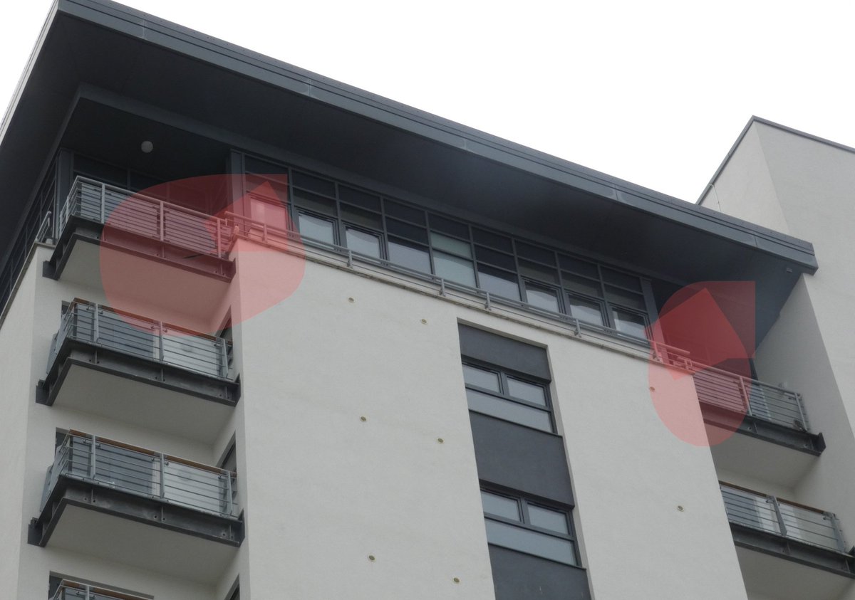 Holes Bay Nature tweet media