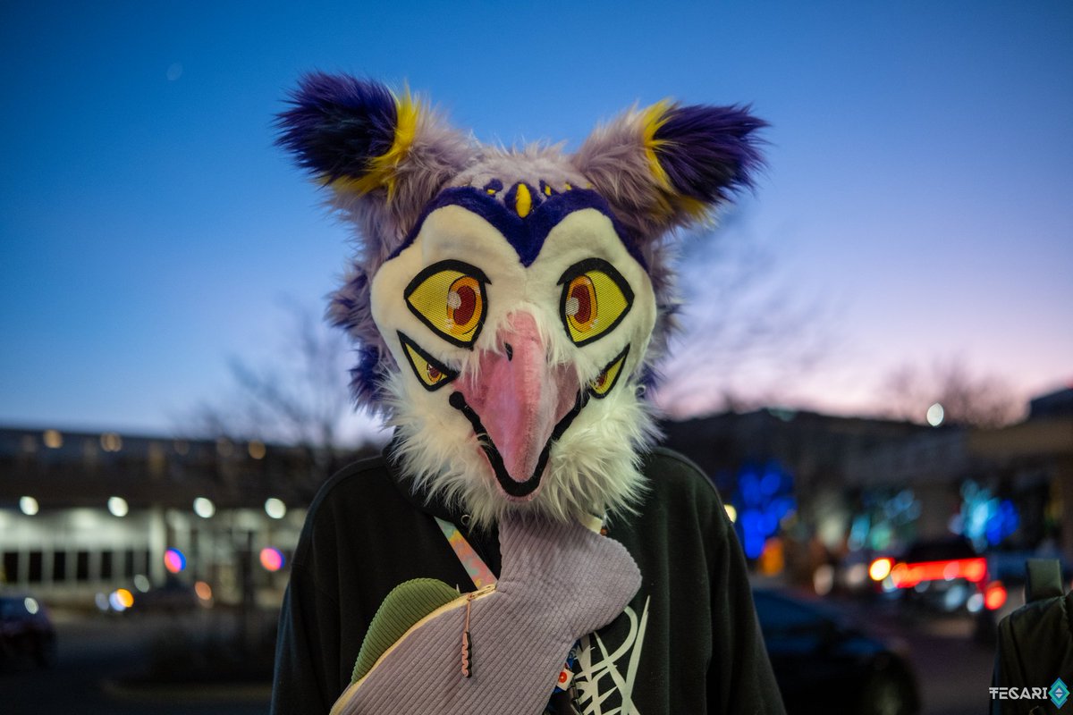 0rgan_D0nor's tweet photo. My honest reaction
#FursuitFriday 
📸: @tecariowolf https://t.co/Vbga3W8n7A