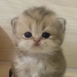 ละอินจุนเค้าทำหน้าอะไรอะนั่นนนนนน น่ารักชะมุ้ดดดดดดดดดด