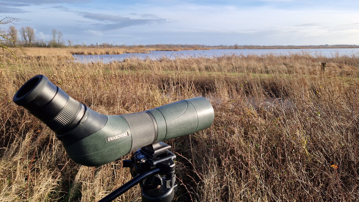 marco glastra tweet media