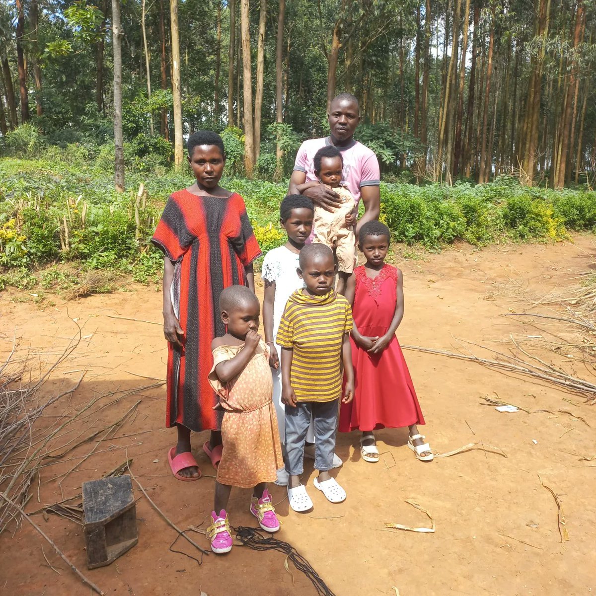 🎄 Be the Reason a Child Smiles! 🎁

For many orphans, Christmas is just another struggle. At Meshan Orphans Aid Foundation, every child deserves the magic of Christmas!

📢 Best gift for an orphan?
A) Warm Clothes 🧥
B) Meal 🍲
C) Toy 🎁
D) Education 📚