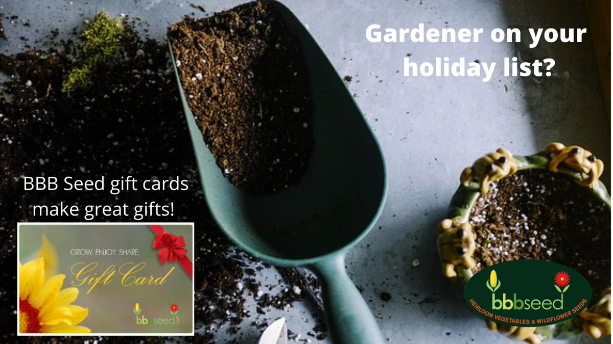 BBB Seed (@bbbseed) on Twitter photo 