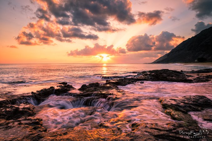 Cherokee Valeria tweet media