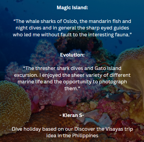 Dive Worldwide tweet media