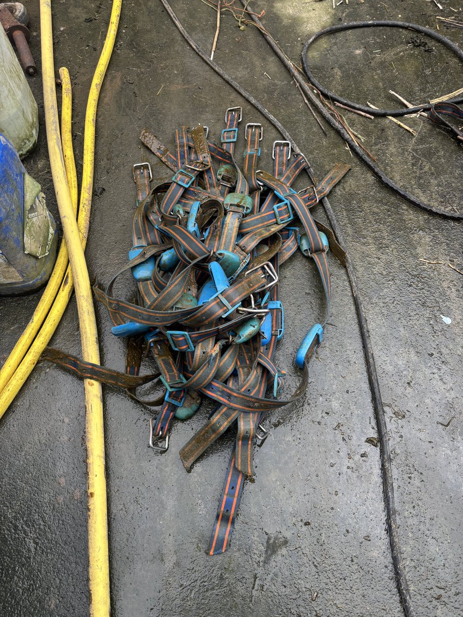 Lucy Allison tweet media