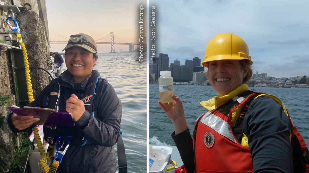 SmithsonianEnv tweet media