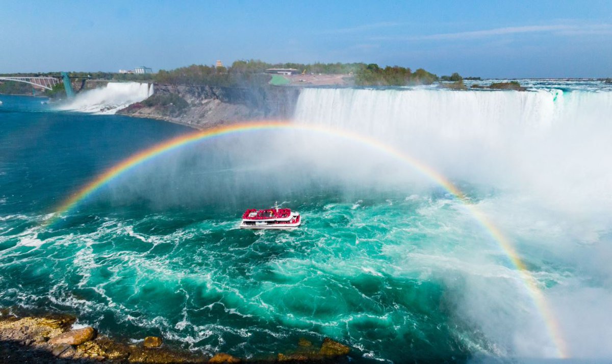 Cruisington Times tweet media