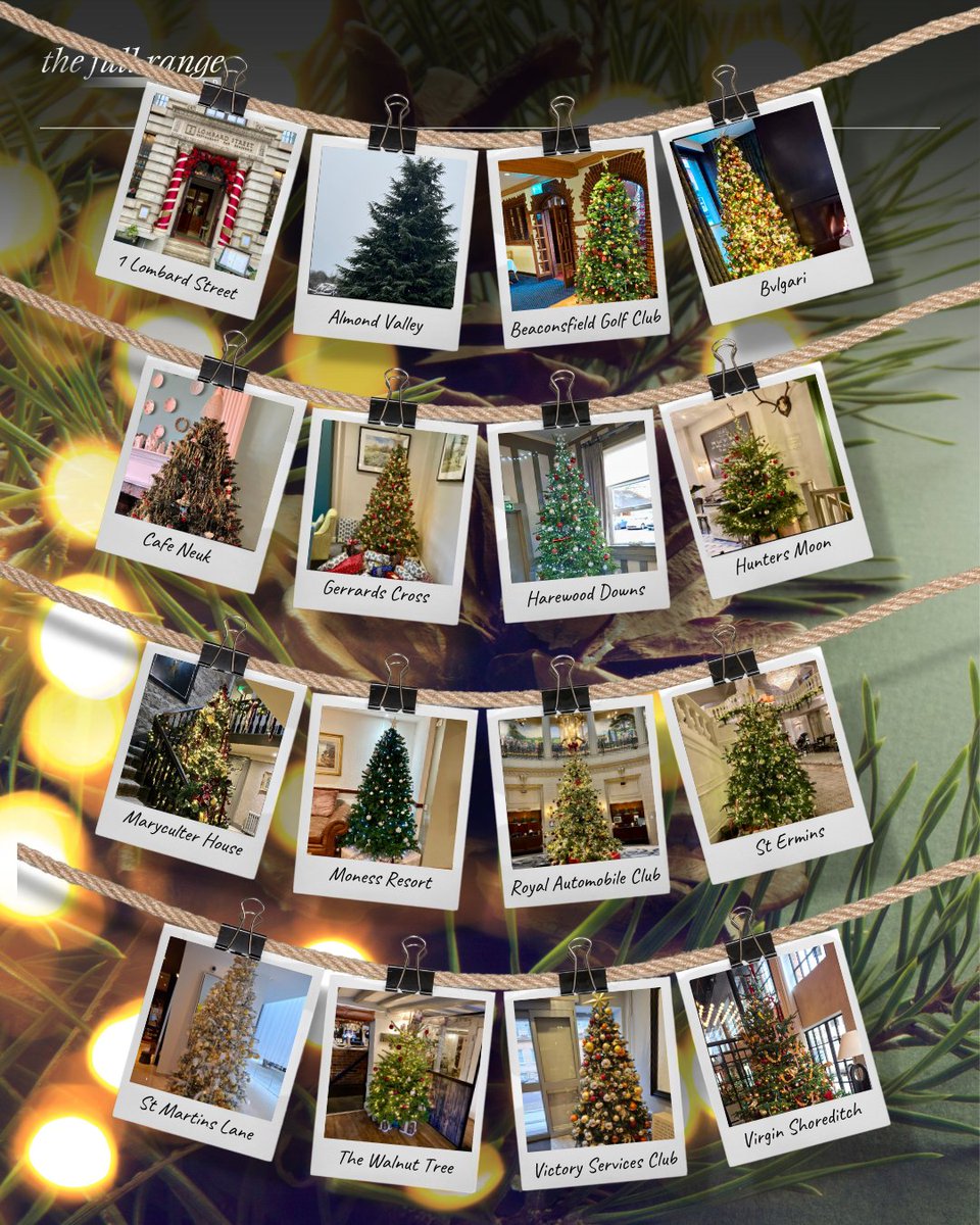 We’ve loved seeing all the festive decorations during our recent visits to clients — it’s definitely feeling like Christmas! We'd like to wish all of our clients a busy Christmas and a happy New Year when it comes. 🎄✨

#MerryChristmas #TheFullRange
