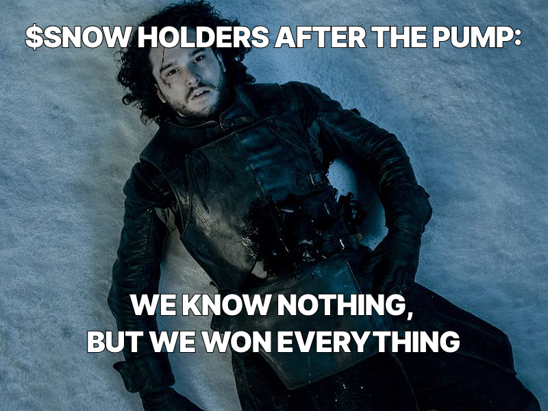 JonSnowSol's tweet photo. $SNOW HOLDERS BE LIKE: https://t.co/8HRopclzCR