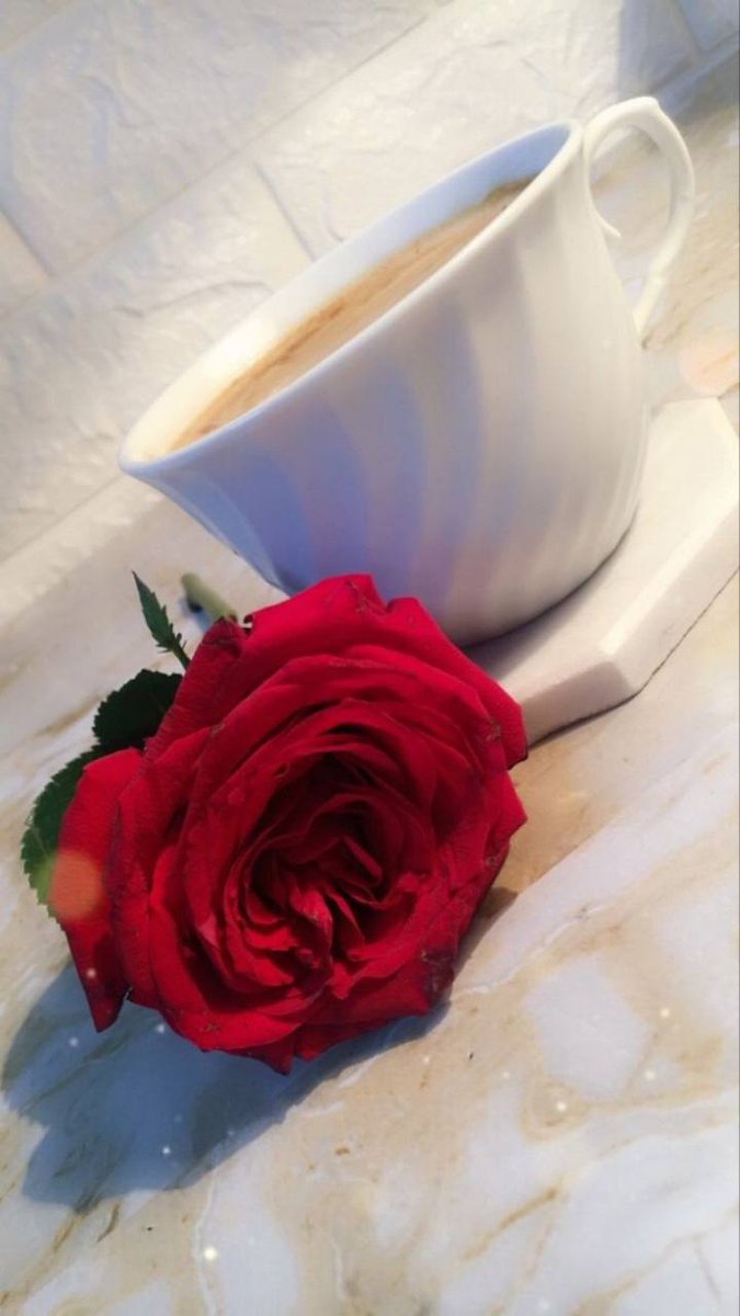 Sh_love0's tweet photo. لن يحتويك إلا شخص يحبك ،،،
و لن يهتم بك إلا شخص يريدك ،،،
و لن يسأل عنك إلا من يفتقدك ،،،
و لن يفتقدك إلا من وجد الغربه في غيابك ...
 لأنه يحبك بصدق ...
لذلك لا تكون إلا لمن يراك له وحده ...!!

#وش_ينقص_البرد
#يوم_الجمعة https://t.co/cBet7shIV1