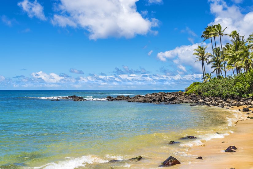 Cherokee Valeria tweet media