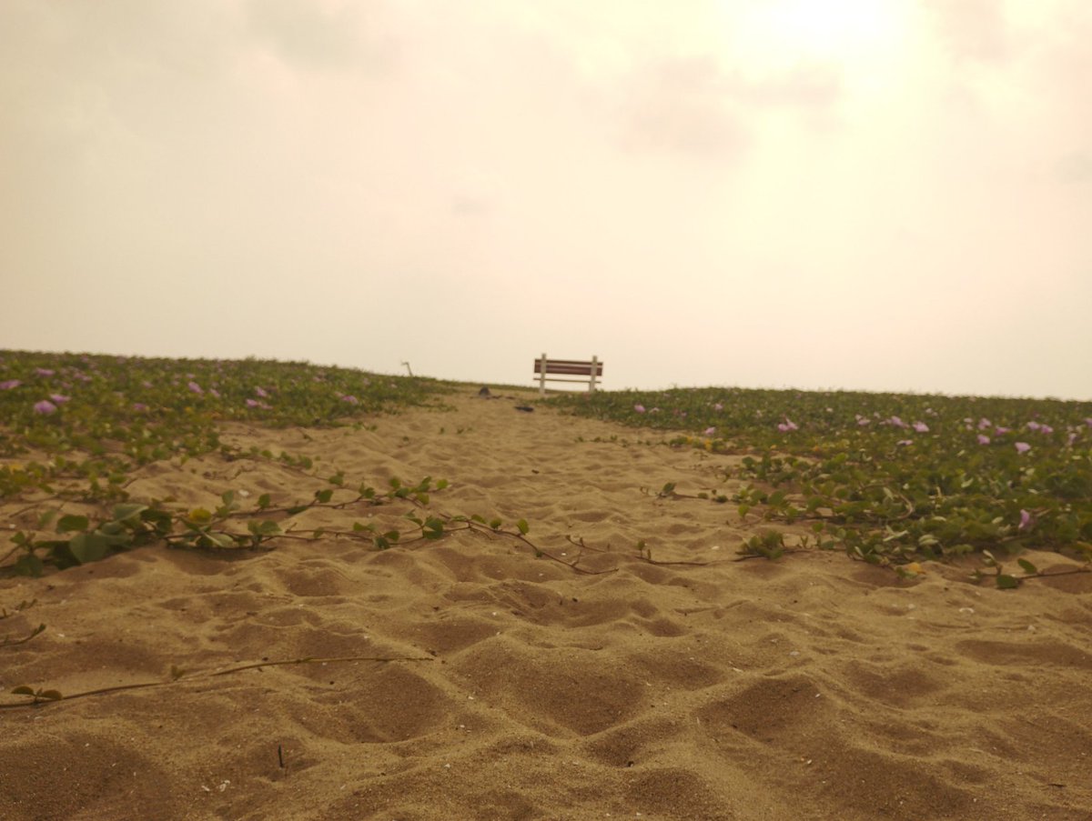 Femin Johny tweet media