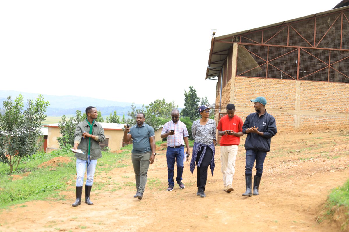 AGRONOMME 🇷🇼 (@agronomme_) on Twitter photo We have successfully wrapped up 5-day field campaign in collaboration with <a href="/RwandaAgriBoard/">Rwanda Agriculture & Animal Resources Devpt Board</a> #SPIU. This campaign highlighted the incredible impact of the National Agriculture Insurance Scheme (#Tekana Urishingiwe Muhinzi Mworozi) and groundbreaking projects supported by <a href="/IFAD/">International Fund for Agricultural Development</a>... We have successfully wrapped up 5-day field campaign in collaboration with <a href="/RwandaAgriBoard/">Rwanda Agriculture & Animal Resources Devpt Board</a> #SPIU. This campaign highlighted the incredible impact of the National Agriculture Insurance Scheme (#Tekana Urishingiwe Muhinzi Mworozi) and groundbreaking projects supported by <a href="/IFAD/">International Fund for Agricultural Development</a>...