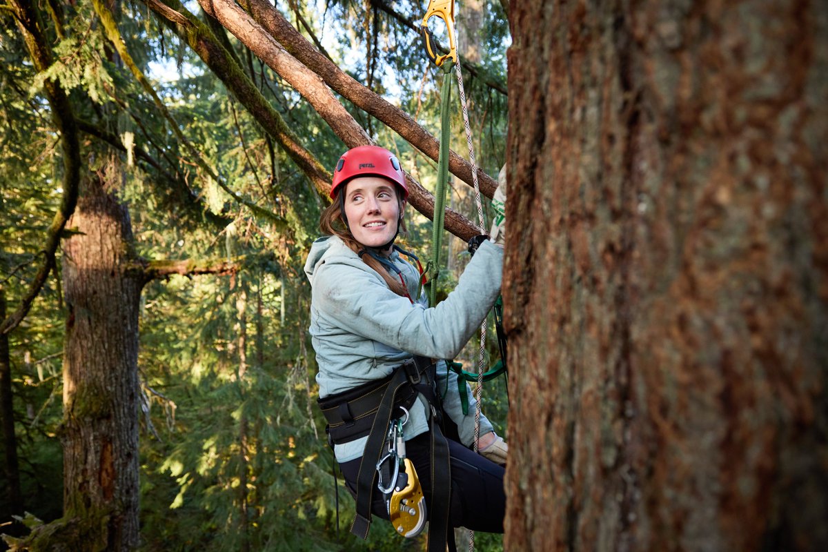 Kylie Mohr tweet media