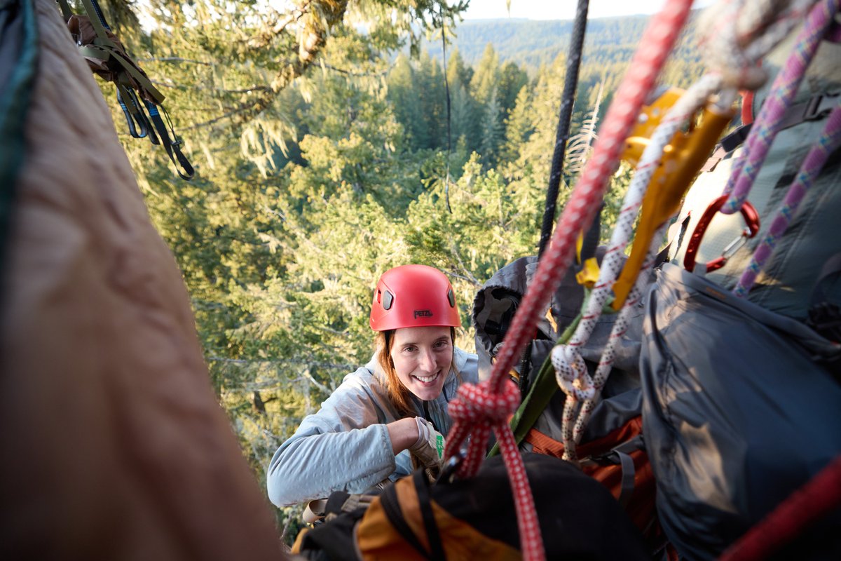 Kylie Mohr tweet media