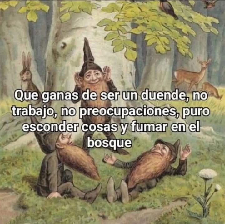 Lo Sinson (@notafaso) on Twitter photo 