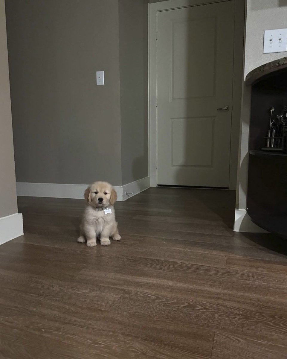 This is Douglas. He frew up. Still 12/10