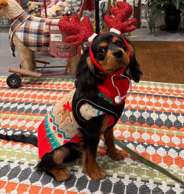 BeMoreBob tweet media