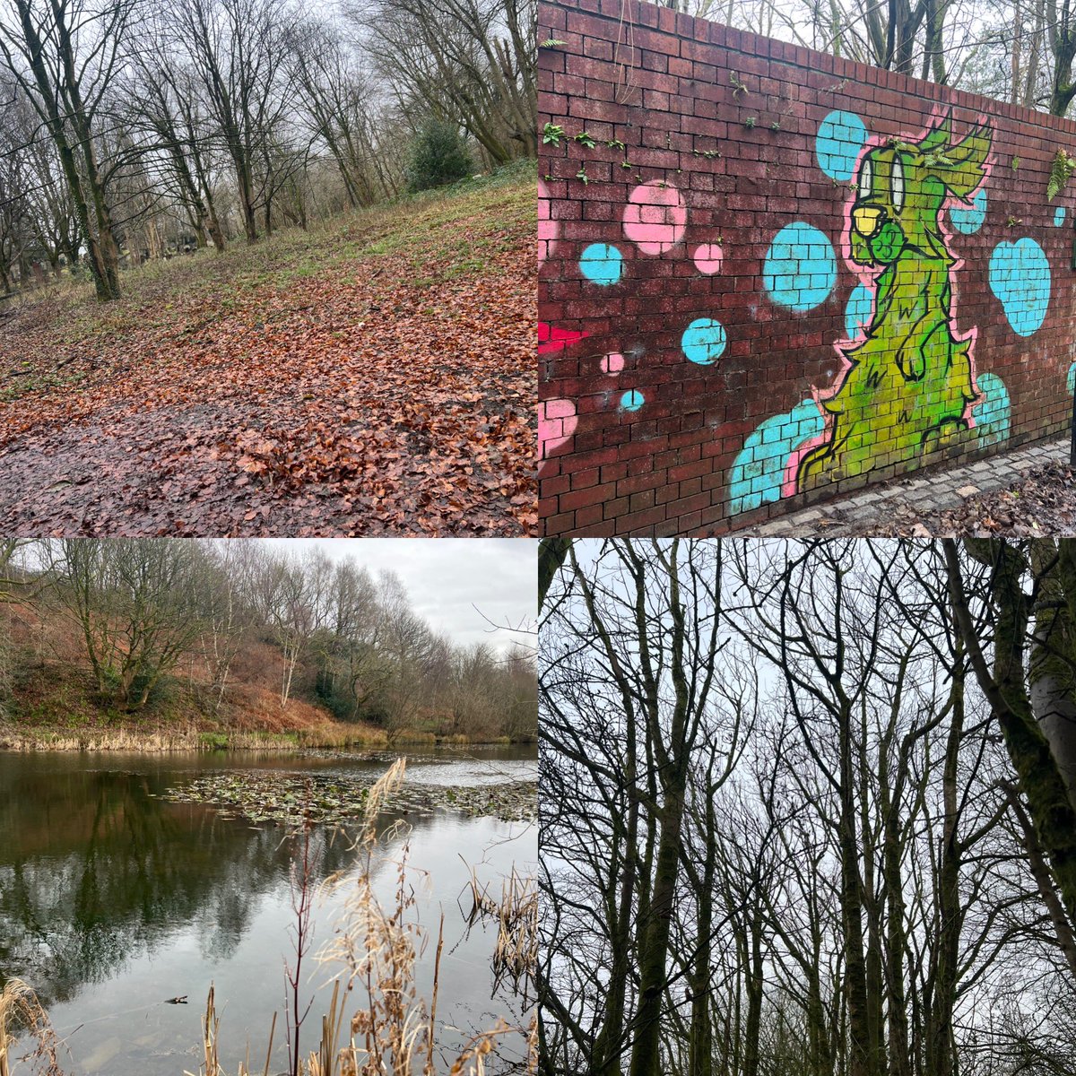 Lauren Owen tweet media