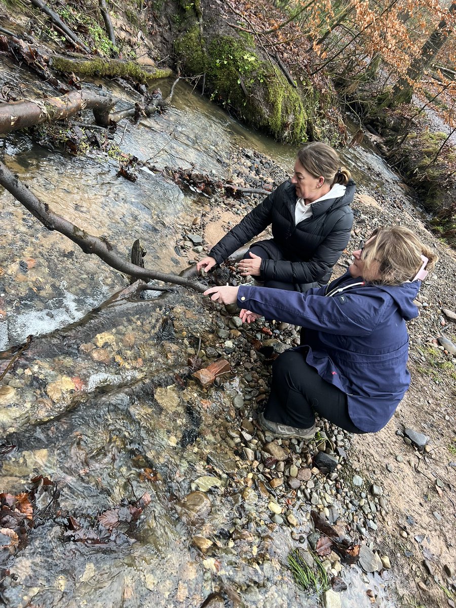 Lauren Owen tweet media