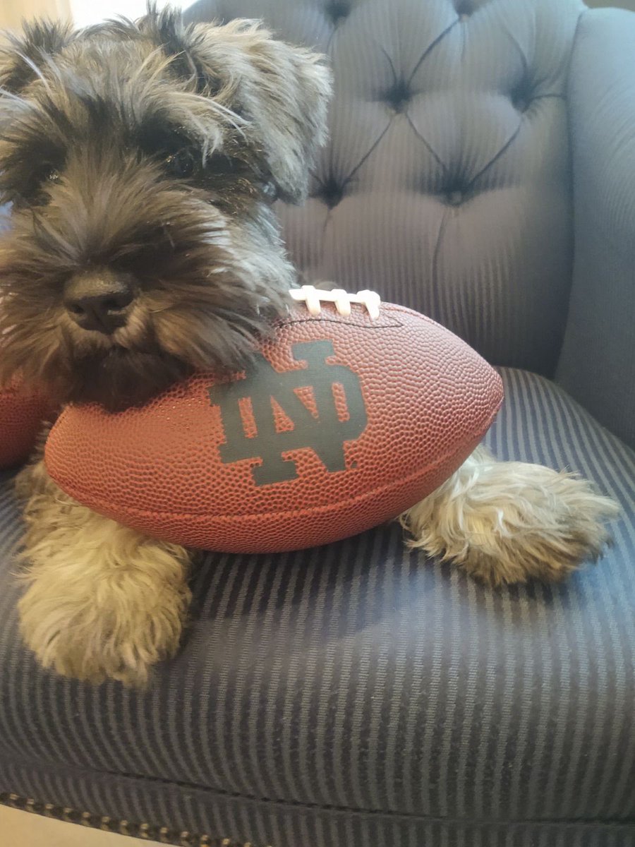 Oliver Holcomb tweet media