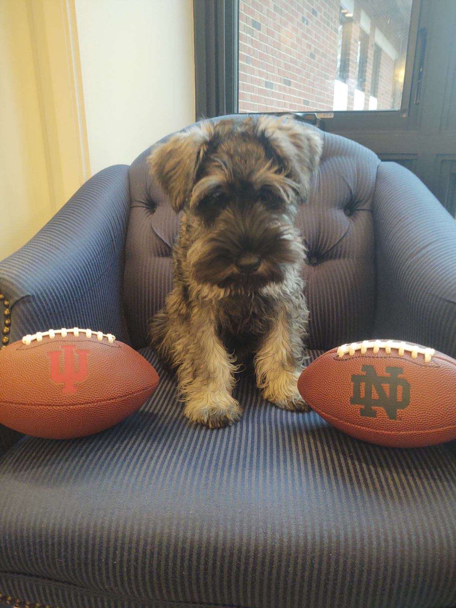 Oliver Holcomb tweet media