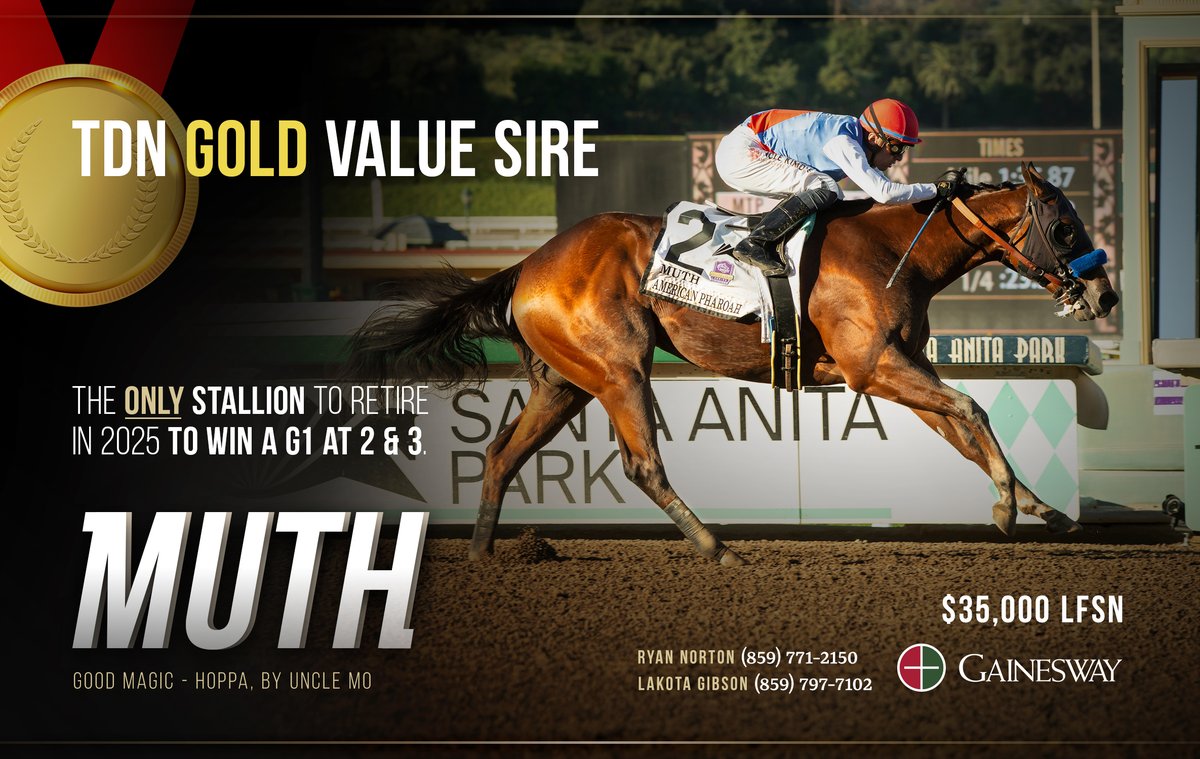 Gainesway's tweet image. 🥇 MUTH takes the Gold in the @theTDN Value Sires, among new sires for 2025!

He is the ONLY stallion to retire for 2025 to win a Grade 1 at both 2 and 3.

👉 gainesway.com/stallions/muth/

#ValueSire #gold #muth #new