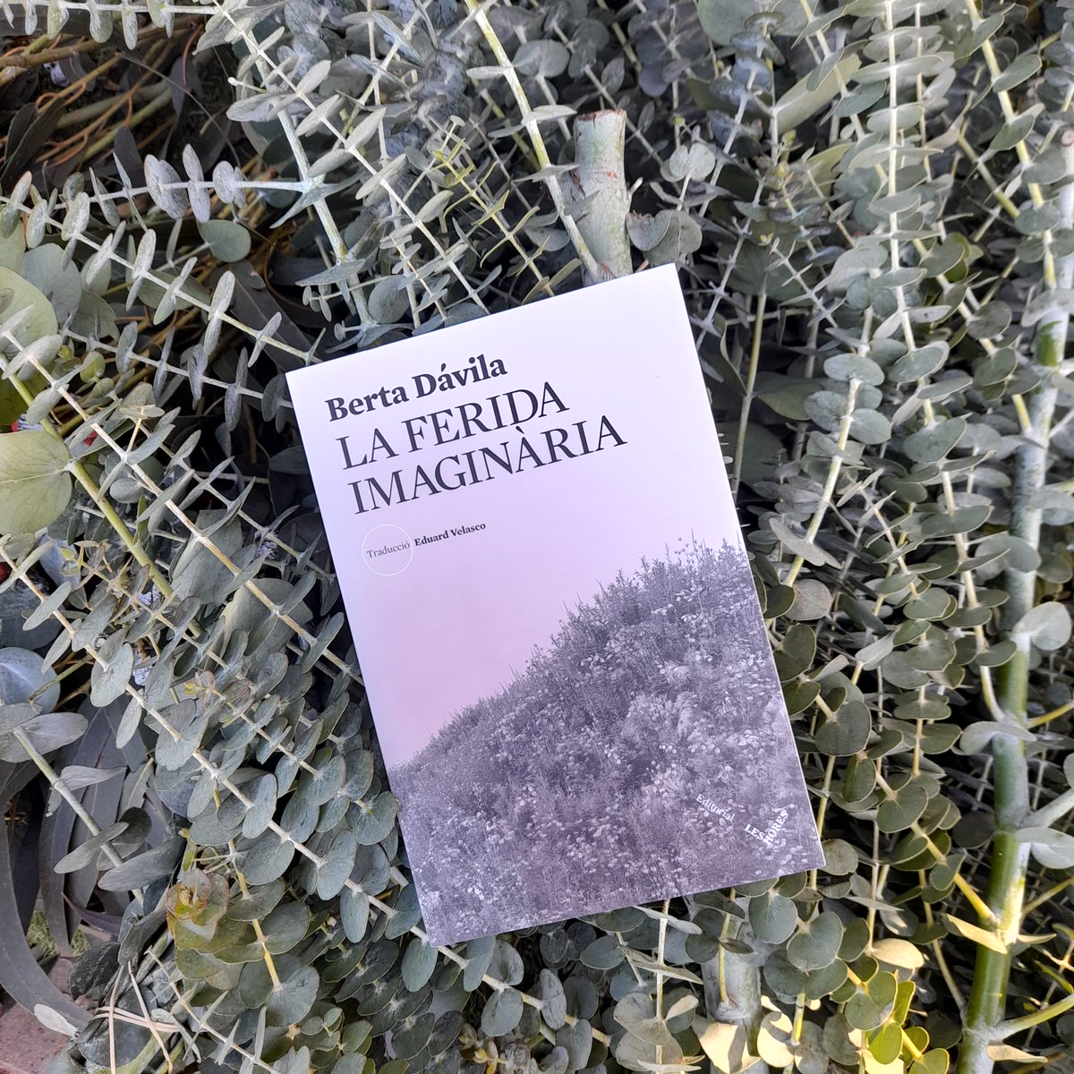 edleshores's tweet photo. 🎄Aquest Nadal regala llibres🎄
📘La ferida imaginària, de @bertadavila
🌍Traducció @Eduard_dCV
https://t.co/3N6s52gglW https://t.co/nspiJmgbRj