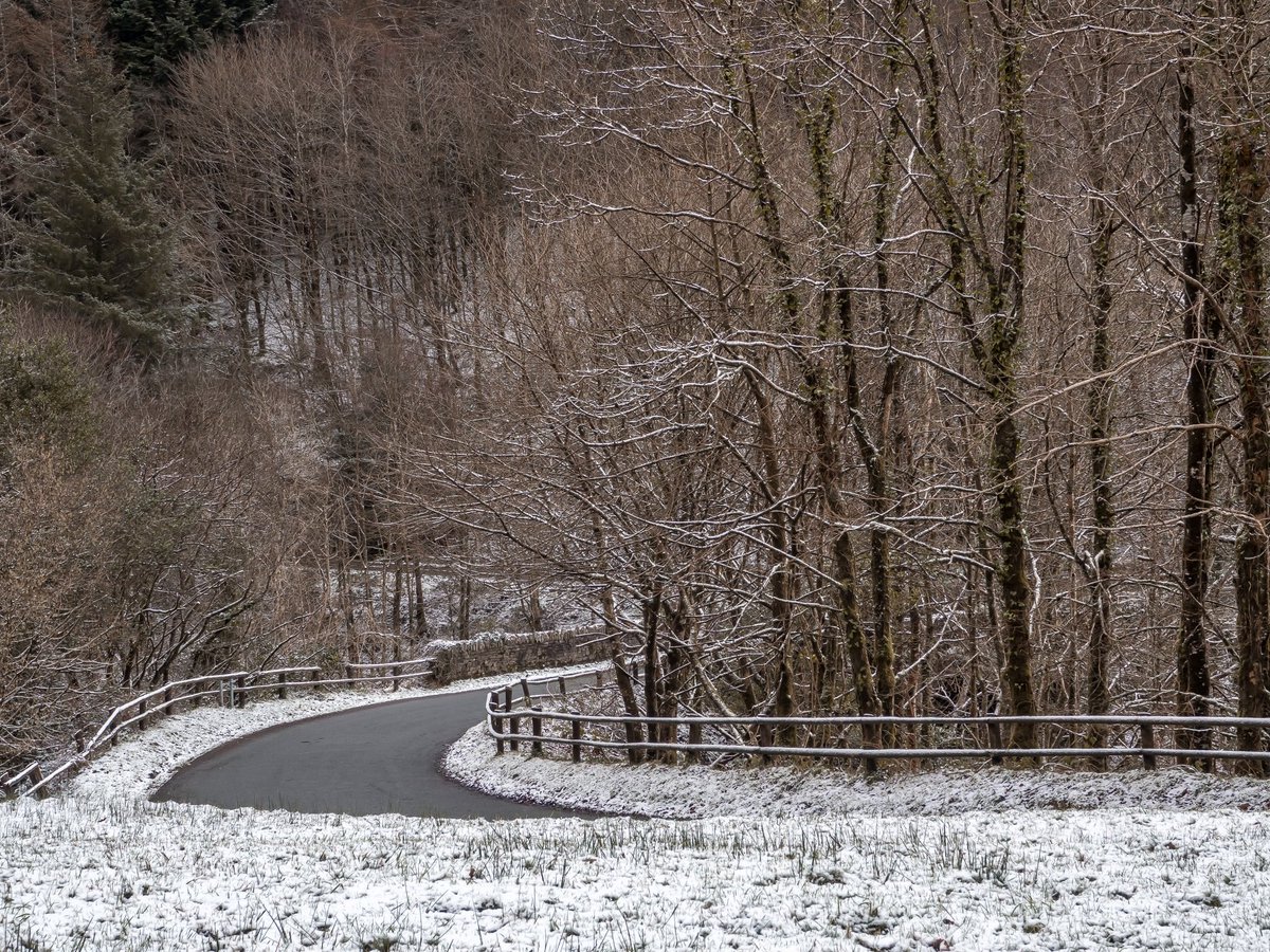 The Slieve Bloom Mountains are one of the most peaceful places to take a stroll or hike all year round!
Hoping for a bit of snow up in the mountains this winter It's the time for it! 🌨❄️
#slieveblooms #winter #offaly #visitoffaly #irelandshiddenheartlands 
<a href="/HeartlandsIRL/">Ireland's Hidden Heartlands</a>