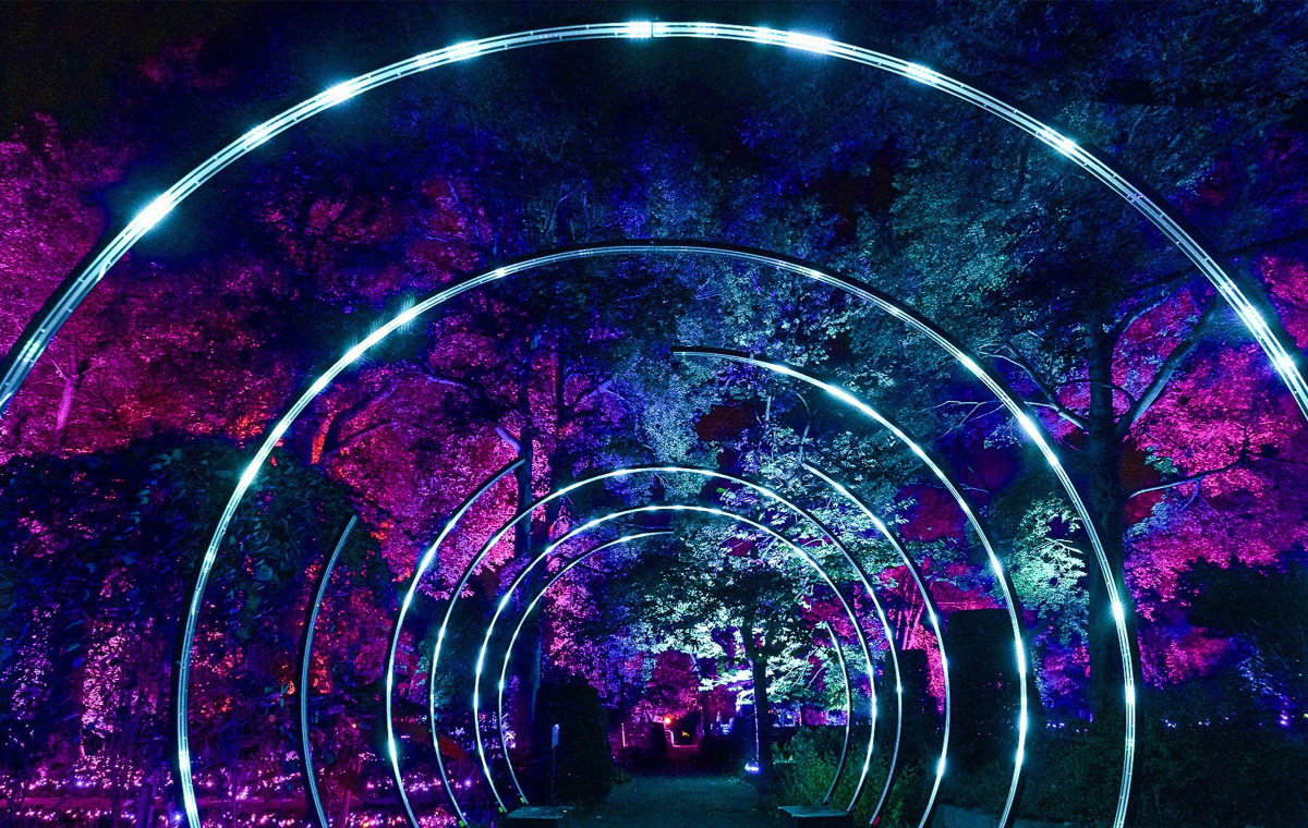 Agenda Navidad en Madrid >> algunos planes para la Navidad y dónde hacer tus mejores fotos navideñas 🎄❄️🎅 s.mtrbio.com/cyqdjptlcw