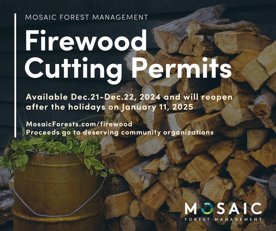 mosaicforests's tweet image. Firewood cutting permits are available in designated locations on Mosaic's forest lands Dec.21-Dec.22, 2024 and will reopen again after the holidays on January 11, 2025. Visit MosaicForests.com/firewood #firewood #VancouverIsland