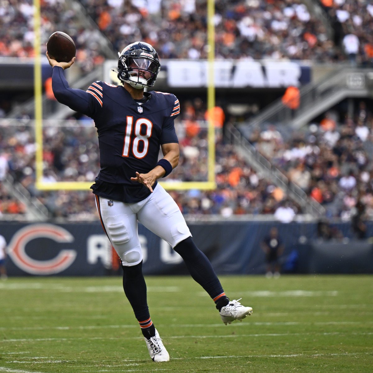 Bears Nation tweet media