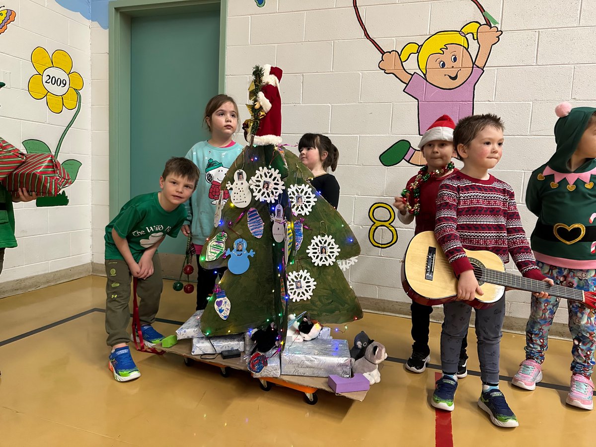 Cape St. Francis tweet media