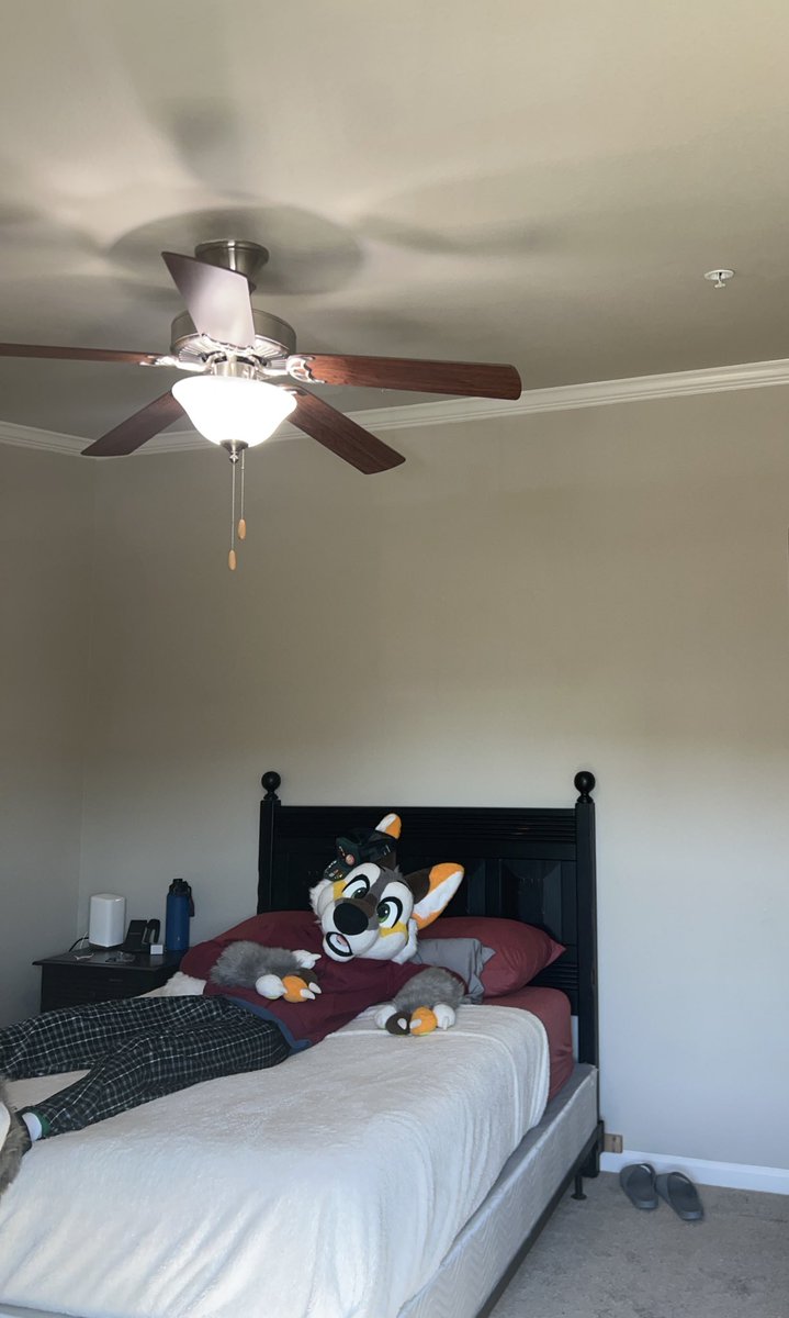 Bridger Yote tweet media